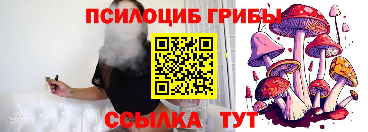Галлюциногенные грибы мухоморы Бердск