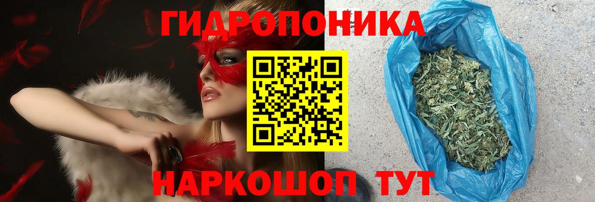 Марихуана Amnesia  Конопля ГИДРОПОН  Бердск  Вход с VPN 
